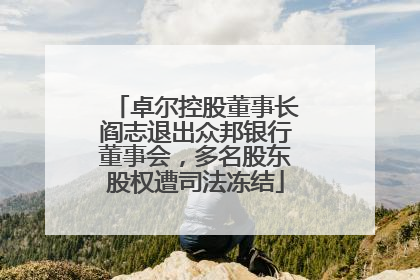卓尔控股董事长阎志退出众邦银行董事会，多名股东股权遭司法冻结