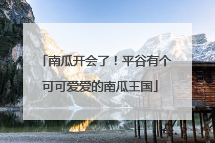 南瓜开会了！平谷有个可可爱爱的南瓜王国