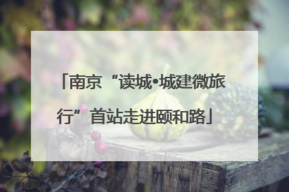 南京“读城•城建微旅行”首站走进颐和路