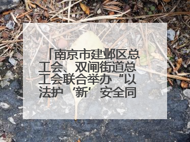 南京市建邺区总工会、双闸街道总工会联合举办“以法护‘新’安全同行”暨劳模宣讲进工地服务活动