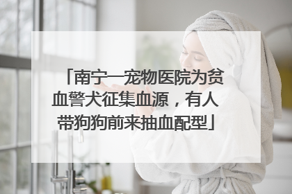 南宁一宠物医院为贫血警犬征集血源，有人带狗狗前来抽血配型