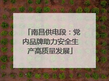 南昌供电段：党内品牌助力安全生产高质量发展