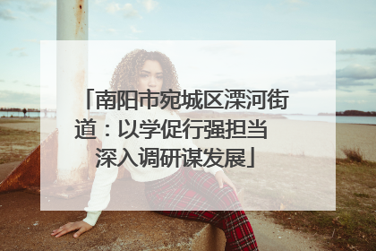 南阳市宛城区溧河街道：以学促行强担当 深入调研谋发展