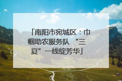 南阳市宛城区：巾帼助农服务队 “三夏”一线绽芳华