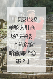 卡皮巴拉羊驼入驻商场写字楼 “萌宠馆”暗藏哪些隐患？