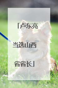 卢东亮当选山西省省长