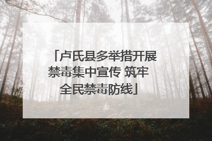 卢氏县多举措开展禁毒集中宣传 筑牢全民禁毒防线