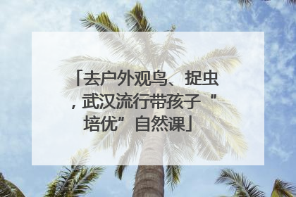 去户外观鸟、捉虫，武汉流行带孩子“培优”自然课