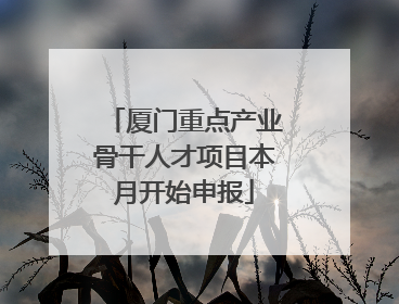 厦门重点产业骨干人才项目本月开始申报