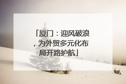 厦门：迎风破浪，为外贸多元化布局开路护航
