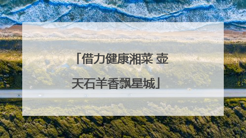 借力健康湘菜 壶天石羊香飘星城