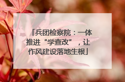 兵团检察院：一体推进“学查改”，让作风建设落地生根