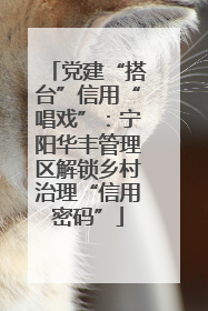 党建“搭台”信用“唱戏”：宁阳华丰管理区解锁乡村治理“信用密码”