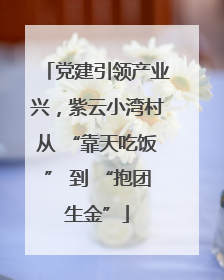 党建引领产业兴，紫云小湾村从 “靠天吃饭” 到 “抱团生金”