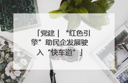 党建｜“红色引擎”助民企发展驶入“快车道”