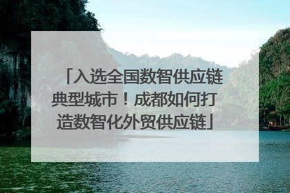 入选全国数智供应链典型城市！成都如何打造数智化外贸供应链