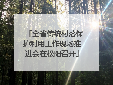 全省传统村落保护利用工作现场推进会在松阳召开