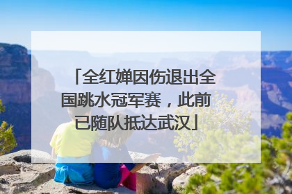 全红婵因伤退出全国跳水冠军赛，此前已随队抵达武汉