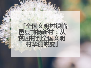 全国文明村镇临邑县前杨新村：从贫困村到全国文明村华丽蜕变