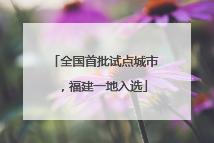 全国首批试点城市，福建一地入选
