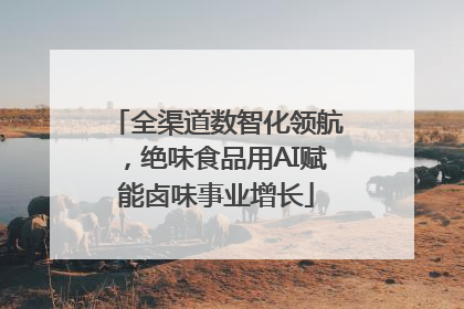 全渠道数智化领航，绝味食品用AI赋能卤味事业增长