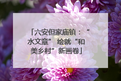 六安但家庙镇：“水文章” 绘就“和美乡村”新画卷