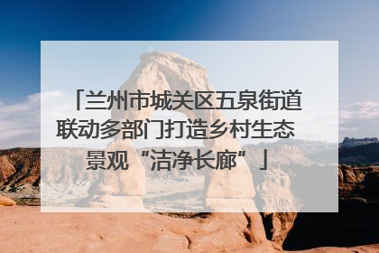兰州市城关区五泉街道联动多部门打造乡村生态景观“洁净长廊”