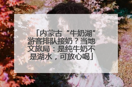 内蒙古“牛奶湖”游客排队接奶？当地文旅局：是纯牛奶不是湖水，可放心喝