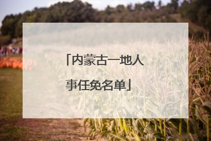 内蒙古一地人事任免名单