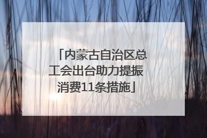 内蒙古自治区总工会出台助力提振消费11条措施