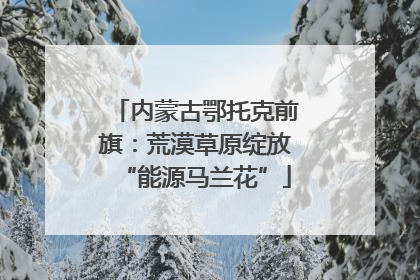 内蒙古鄂托克前旗：荒漠草原绽放“能源马兰花”
