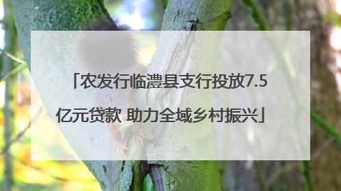 农发行临澧县支行投放7.5亿元贷款 助力全域乡村振兴
