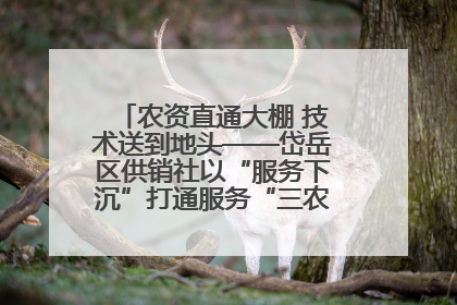 农资直通大棚 技术送到地头——岱岳区供销社以“服务下沉”打通服务“三农”最后一公里