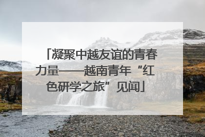 凝聚中越友谊的青春力量——越南青年“红色研学之旅”见闻