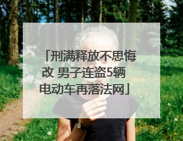 刑满释放不思悔改 男子连盗5辆电动车再落法网