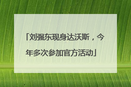 刘强东现身达沃斯，今年多次参加官方活动