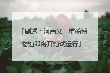 剧透：河南又一重磅博物馆即将开馆试运行
