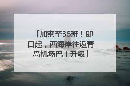 加密至36班！即日起，西海岸往返青岛机场巴士升级