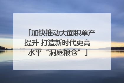 加快推动大面积单产提升 打造新时代更高水平“洞庭粮仓”
