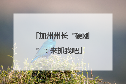 加州州长“硬刚”：来抓我吧