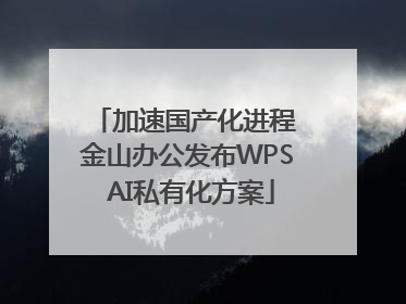加速国产化进程 金山办公发布WPS AI私有化方案