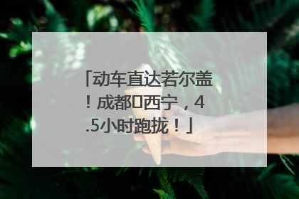 动车直达若尔盖！成都⇄西宁，4.5小时跑拢！