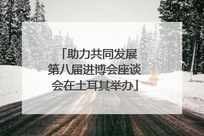 助力共同发展 第八届进博会座谈会在土耳其举办
