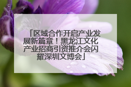 区域合作开启产业发展新篇章！黑龙江文化产业招商引资推介会闪耀深圳文博会