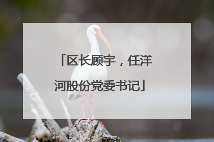 区长顾宇，任洋河股份党委书记