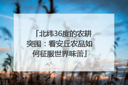 北纬36度的农耕突围：看安丘农品如何征服世界味蕾