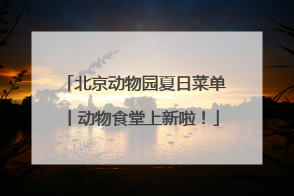 北京动物园夏日菜单丨动物食堂上新啦！
