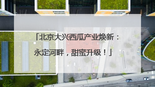 北京大兴西瓜产业焕新：永定河畔，甜蜜升级！