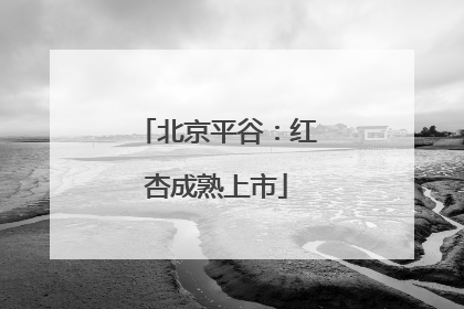 北京平谷：红杏成熟上市