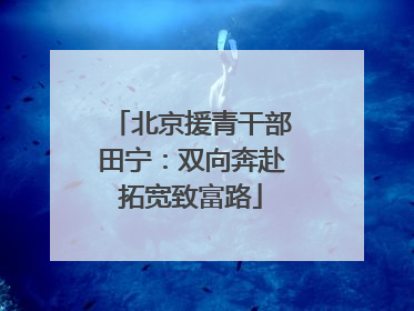 北京援青干部田宁：双向奔赴拓宽致富路
